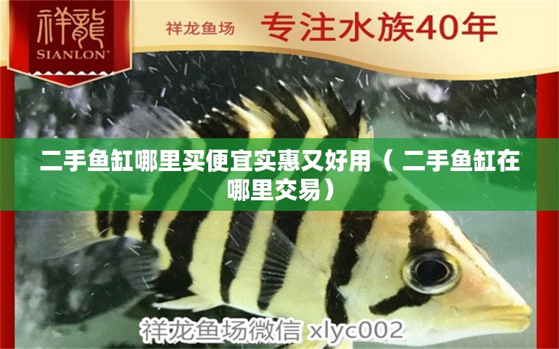 二手魚缸哪里買便宜實(shí)惠又好用（ 二手魚缸在哪里交易） 水族品牌 第1張