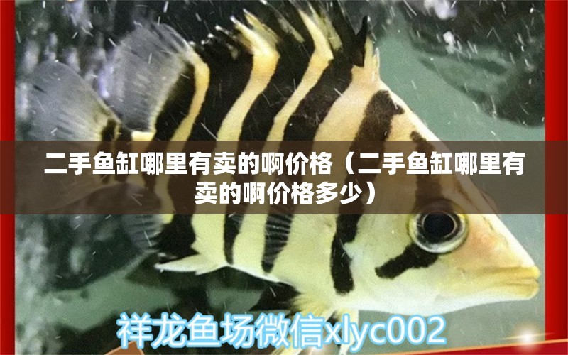 二手魚缸哪里有賣的啊價格（二手魚缸哪里有賣的啊價格多少） 哥倫比亞巨暴魚苗