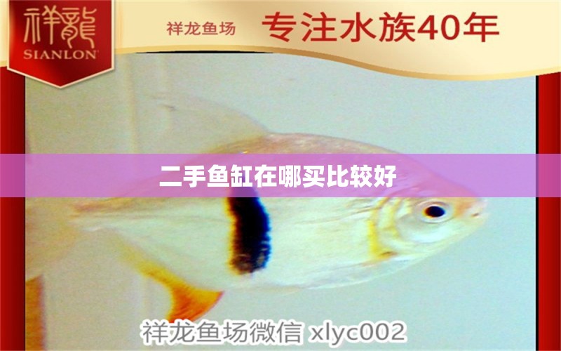 二手魚缸在哪買比較好  賽級(jí)紅龍魚