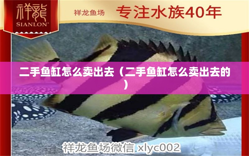 二手魚缸怎么賣出去（二手魚缸怎么賣出去的）