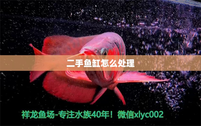 二手魚缸怎么處理