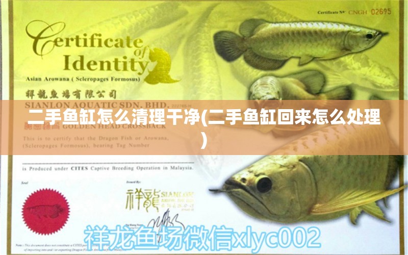 二手魚(yú)缸怎么清理干凈(二手魚(yú)缸回來(lái)怎么處理) 高背金龍魚(yú)