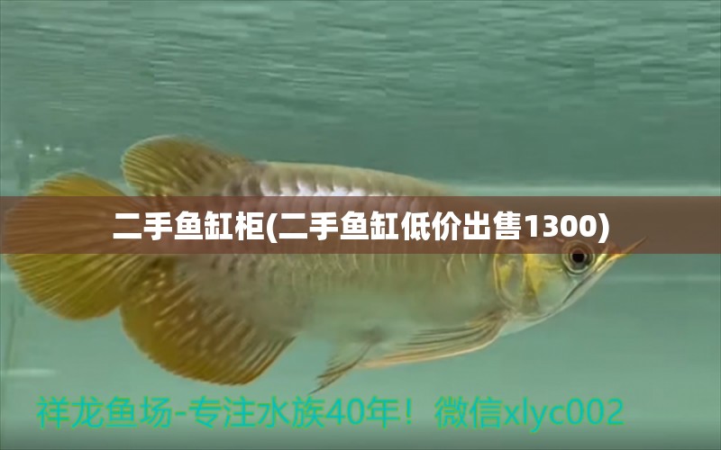 二手魚缸柜(二手魚缸低價出售1300) 鸚鵡魚