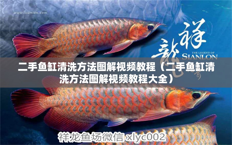 二手魚缸清洗方法圖解視頻教程（二手魚缸清洗方法圖解視頻教程大全） 印尼四紋虎