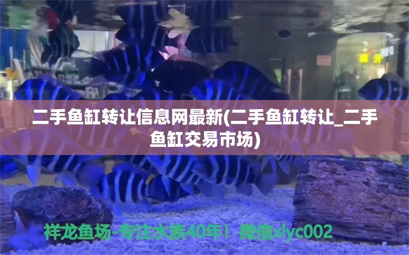 二手魚缸轉(zhuǎn)讓信息網(wǎng)最新(二手魚缸轉(zhuǎn)讓_二手魚缸交易市場(chǎng)) 龍魚批發(fā)