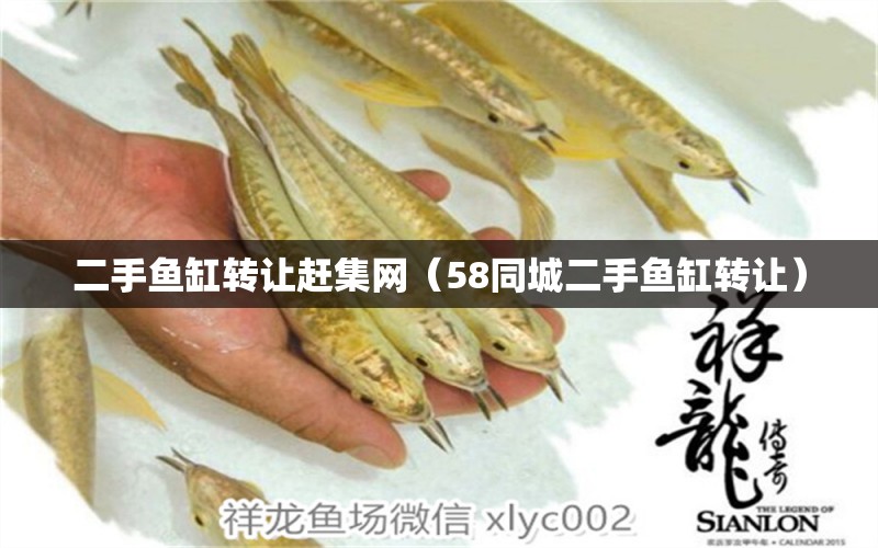 二手魚缸轉(zhuǎn)讓趕集網(wǎng)（58同城二手魚缸轉(zhuǎn)讓）