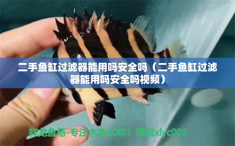 二手魚缸過濾器能用嗎安全嗎（二手魚缸過濾器能用嗎安全嗎視頻） 祥龍水族醫(yī)院