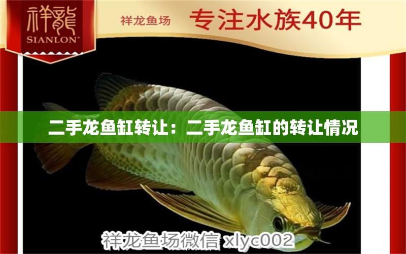 二手龍魚缸轉(zhuǎn)讓：二手龍魚缸的轉(zhuǎn)讓情況 水族問答 第2張