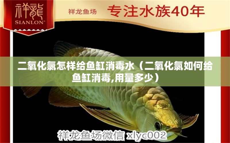 二氧化氯怎樣給魚(yú)缸消毒水（二氧化氯如何給魚(yú)缸消毒,用量多少）