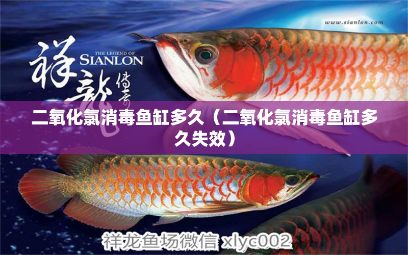 二氧化氯消毒魚(yú)缸多久（二氧化氯消毒魚(yú)缸多久失效）