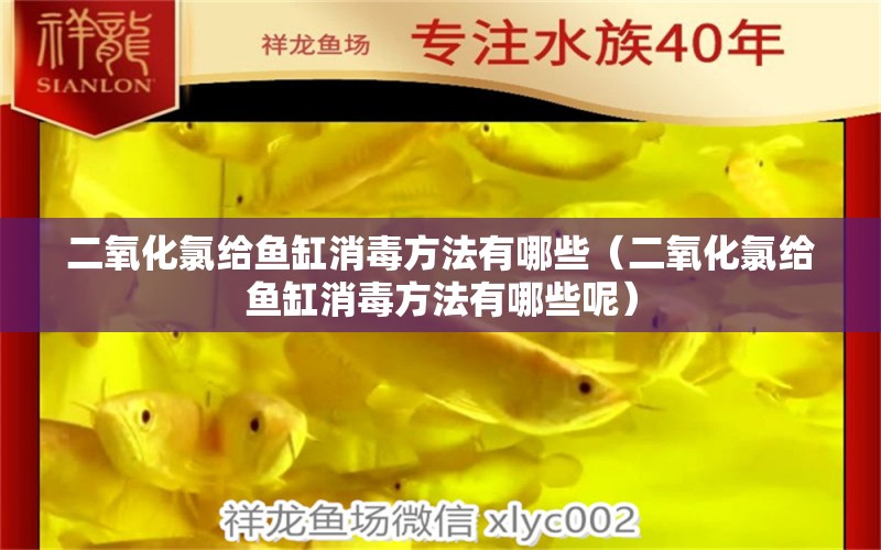 二氧化氯給魚(yú)缸消毒方法有哪些（二氧化氯給魚(yú)缸消毒方法有哪些呢）