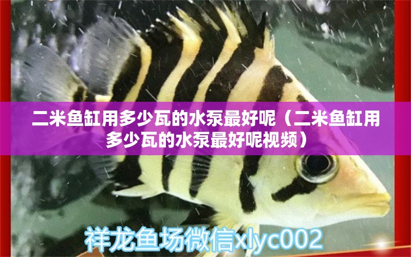 二米魚缸用多少瓦的水泵最好呢（二米魚缸用多少瓦的水泵最好呢視頻）