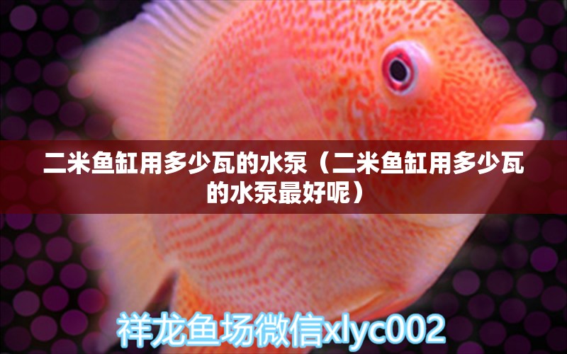 二米魚(yú)缸用多少瓦的水泵（二米魚(yú)缸用多少瓦的水泵最好呢）