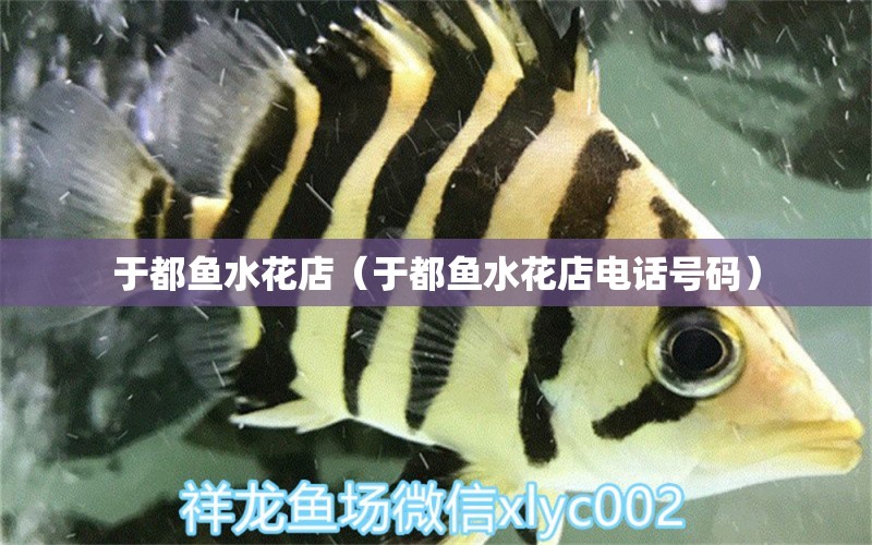 于都魚水花店（于都魚水花店電話號碼） 全國水族館企業(yè)名錄