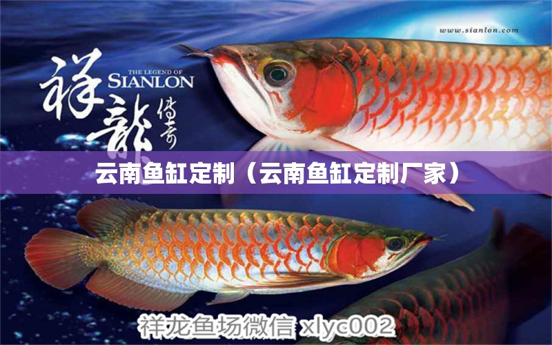 云南魚缸定制（云南魚缸定制廠家）