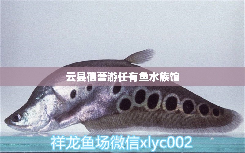 云縣蓓蕾游任有魚(yú)水族館 全國(guó)水族館企業(yè)名錄