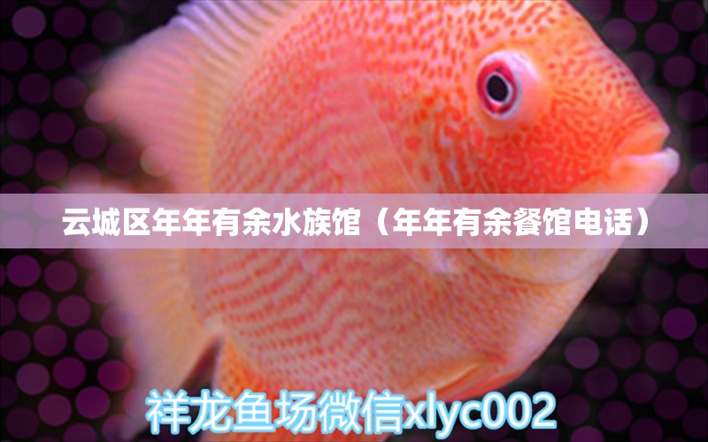 云城區(qū)年年有余水族館（年年有余餐館電話）