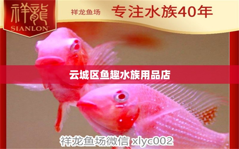 云城區(qū)魚趣水族用品店 水族用品