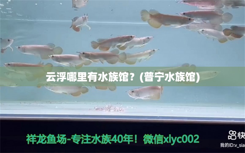 云浮哪里有水族館？(普寧水族館)