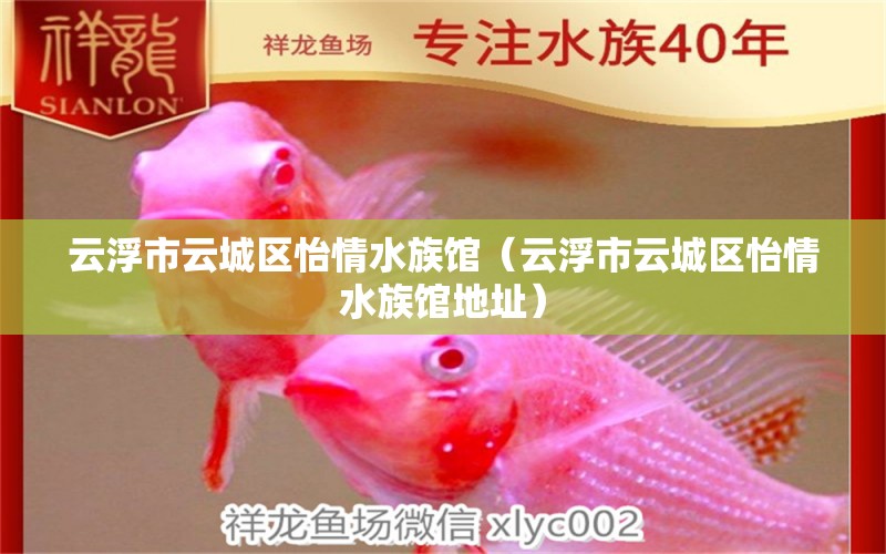 云浮市云城區(qū)怡情水族館（云浮市云城區(qū)怡情水族館地址）