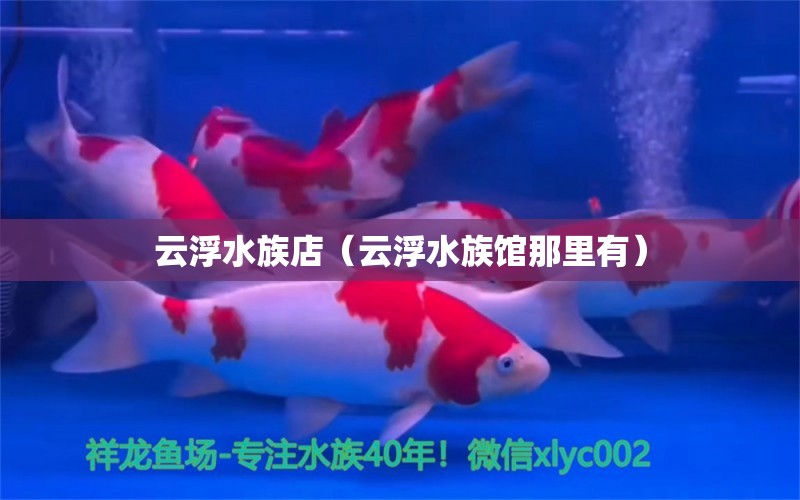 云浮水族店（云浮水族館那里有） 觀(guān)賞魚(yú)市場(chǎng)