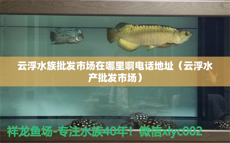 云浮水族批發(fā)市場在哪里啊電話地址（云浮水產(chǎn)批發(fā)市場） 觀賞魚批發(fā)