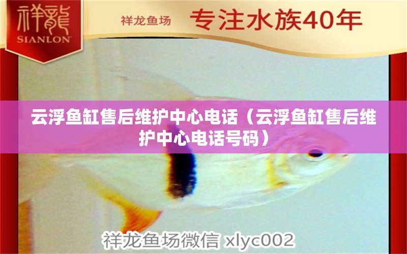 云浮魚缸售后維護中心電話（云浮魚缸售后維護中心電話號碼）