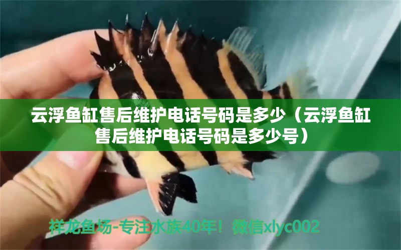 云浮魚缸售后維護電話號碼是多少（云浮魚缸售后維護電話號碼是多少號）