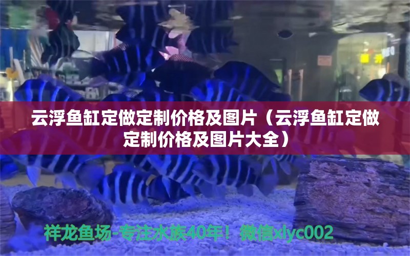 云浮魚(yú)缸定做定制價(jià)格及圖片（云浮魚(yú)缸定做定制價(jià)格及圖片大全） 短身紅龍魚(yú)