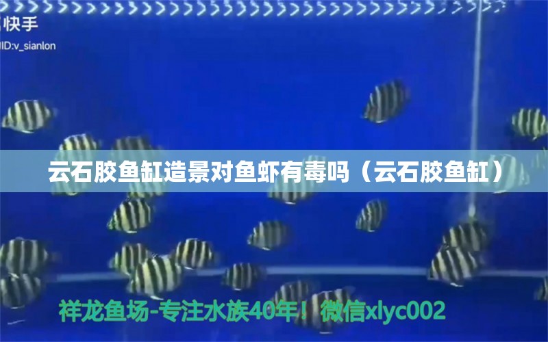 云石膠魚缸造景對魚蝦有毒嗎（云石膠魚缸）