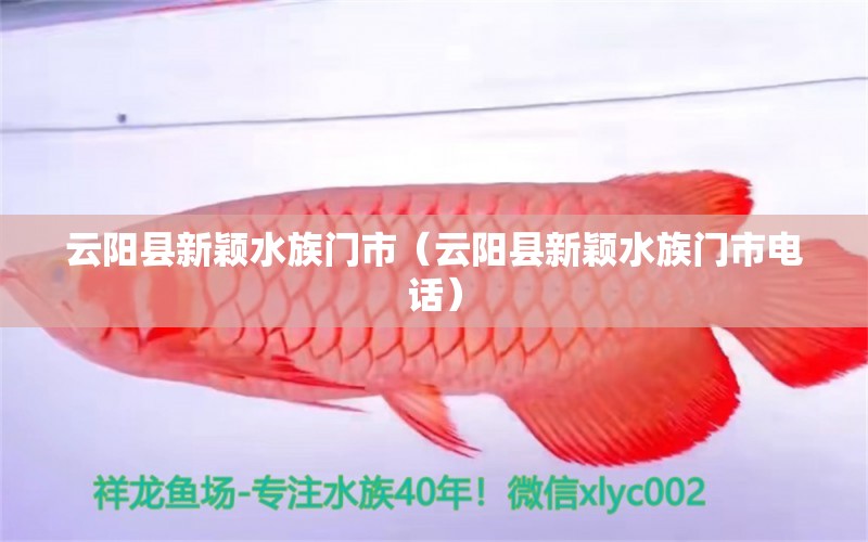 云陽縣新穎水族門市（云陽縣新穎水族門市電話）