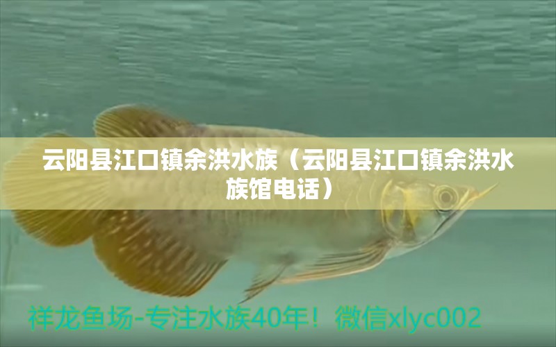 云陽縣江口鎮(zhèn)余洪水族（云陽縣江口鎮(zhèn)余洪水族館電話）