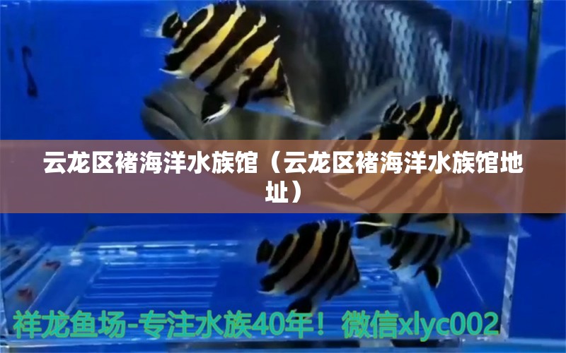 云龍區(qū)褚海洋水族館（云龍區(qū)褚海洋水族館地址）