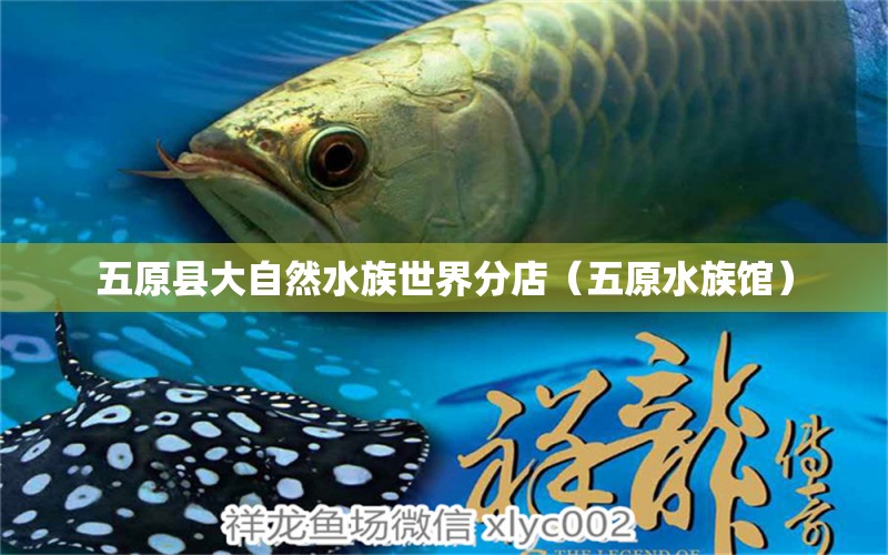 五原縣大自然水族世界分店（五原水族館）