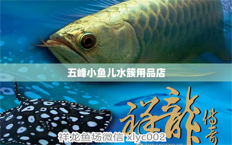 五峰小魚兒水簇用品店 全國水族館企業(yè)名錄