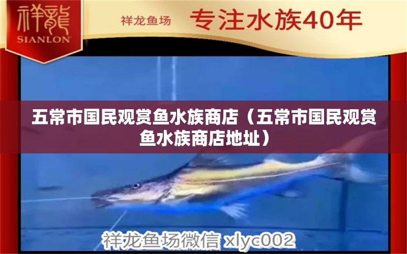 五常市國(guó)民觀賞魚(yú)水族商店（五常市國(guó)民觀賞魚(yú)水族商店地址）