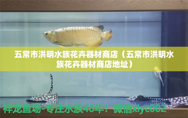 五常市洪明水族花卉器材商店（五常市洪明水族花卉器材商店地址） 全國水族館企業(yè)名錄