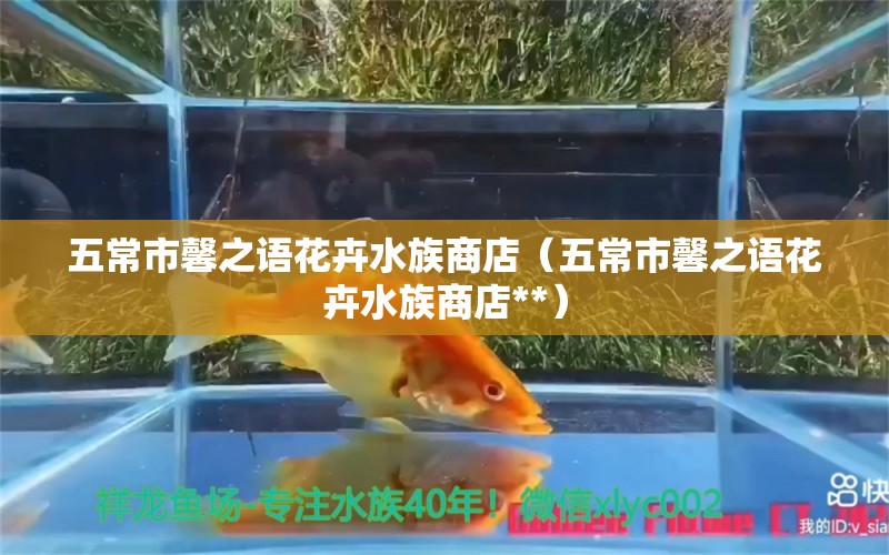 五常市馨之語花卉水族商店（五常市馨之語花卉水族商店**） 全國水族館企業(yè)名錄