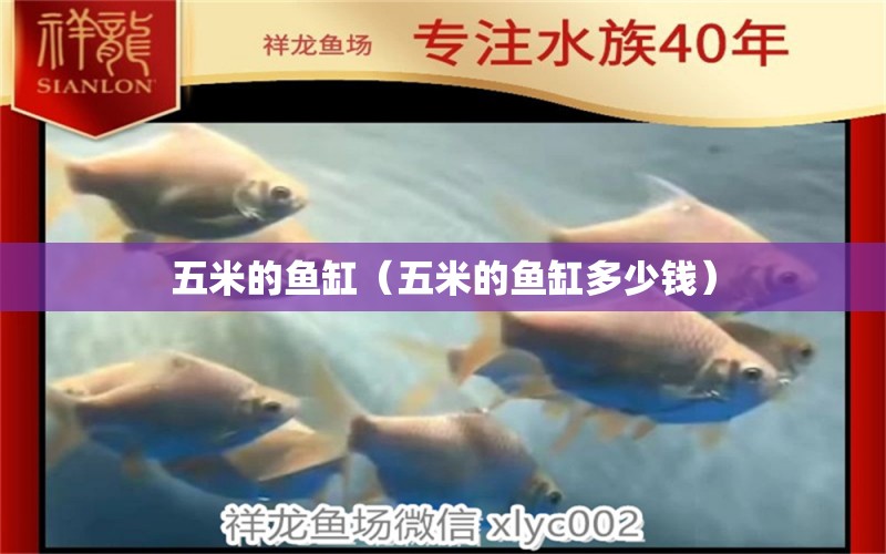 五米的魚缸（五米的魚缸多少錢）