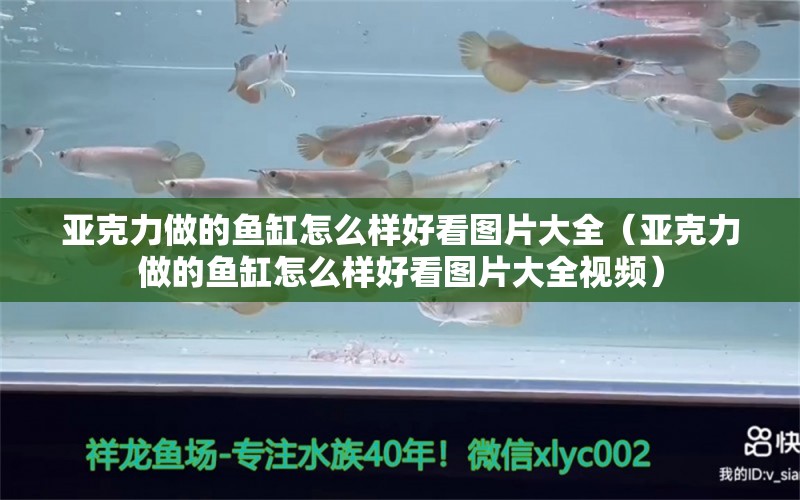 亞克力做的魚缸怎么樣好看圖片大全（亞克力做的魚缸怎么樣好看圖片大全視頻） 觀賞魚市場（混養(yǎng)魚）