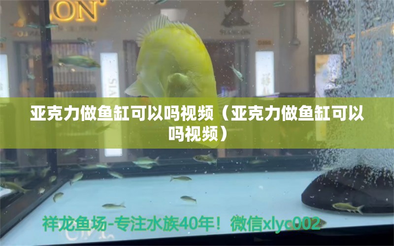 亞克力做魚(yú)缸可以嗎視頻（亞克力做魚(yú)缸可以嗎視頻）