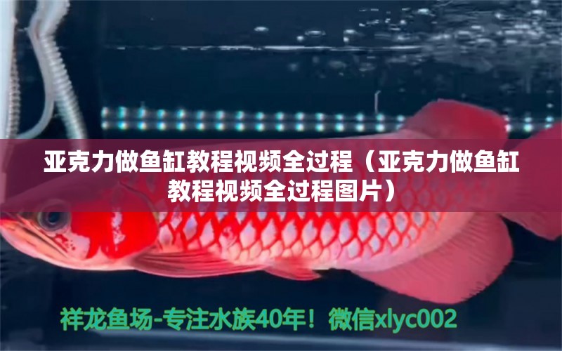 亞克力做魚缸教程視頻全過程（亞克力做魚缸教程視頻全過程圖片）