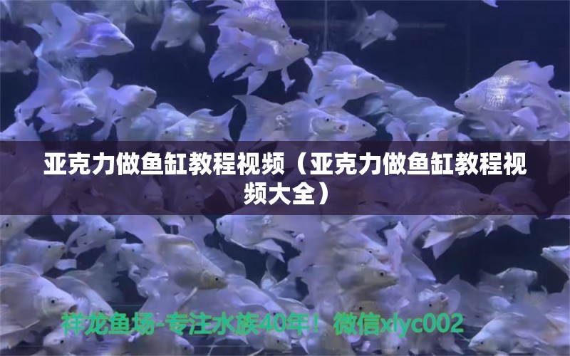 亞克力做魚缸教程視頻（亞克力做魚缸教程視頻大全）