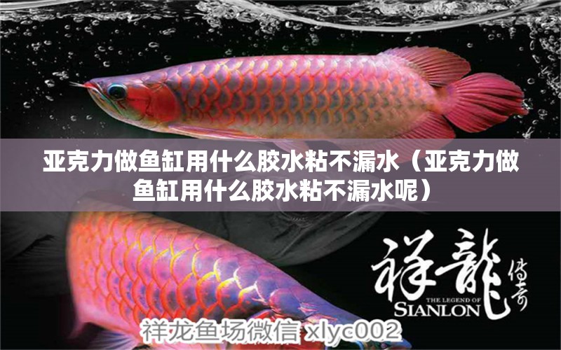 亞克力做魚缸用什么膠水粘不漏水（亞克力做魚缸用什么膠水粘不漏水呢） 其他品牌魚缸