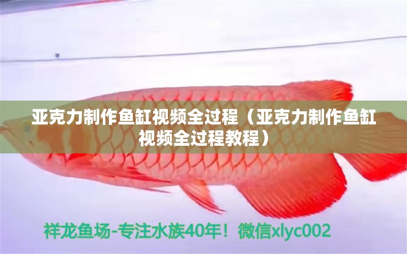 亞克力制作魚缸視頻全過程（亞克力制作魚缸視頻全過程教程） 銀河星鉆魚