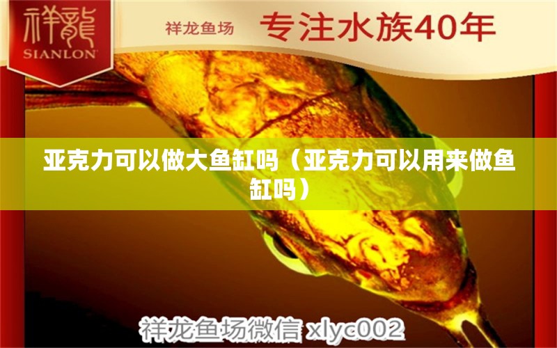 亞克力可以做大魚缸嗎（亞克力可以用來做魚缸嗎） 其他品牌魚缸