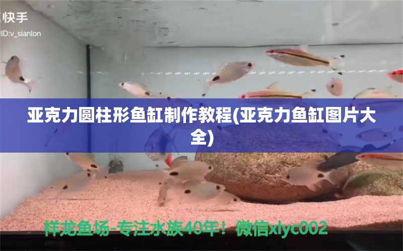 亞克力圓柱形魚(yú)缸制作教程(亞克力魚(yú)缸圖片大全)