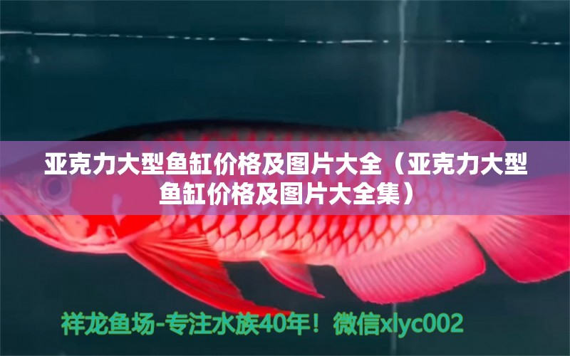 亞克力大型魚缸價格及圖片大全（亞克力大型魚缸價格及圖片大全集）