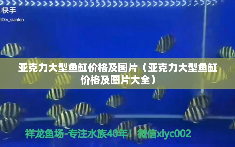 亞克力大型魚缸價格及圖片（亞克力大型魚缸價格及圖片大全）