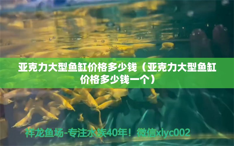 亞克力大型魚缸價格多少錢（亞克力大型魚缸價格多少錢一個）